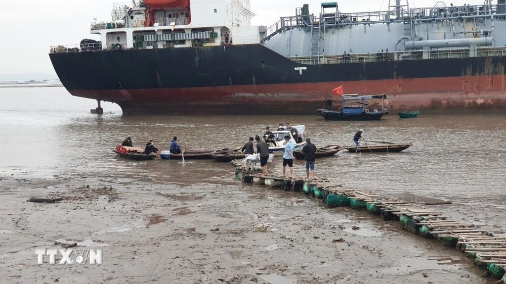 Tàu chở gỗ dăm tại thị xã Quảng Yên (Quảng Ninh), nơi 3 người thiệt mạng do ngạt khí. (Ảnh: TTXVN phát)