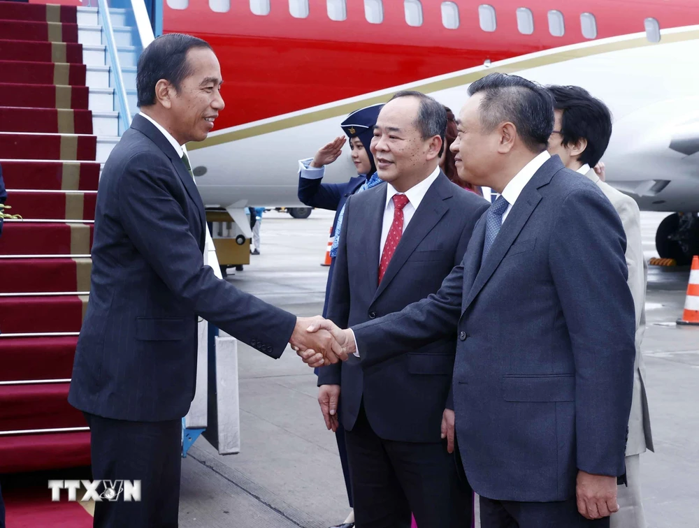 Chủ nhiệm Văn phòng Chủ tịch nước Lê Khánh Hải và Chủ tịch Ủy ban Nhân dân thành phố Hà Nội Trần Sỹ Thanh đón Tổng thống Indonesia Joko Widodo tại sân bay quốc tế Nội Bài. (Ảnh: An Đăng/TTXVN)