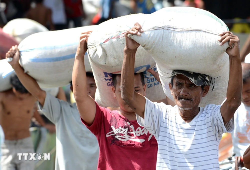 Người dân bốc xếp gạo từ nhà kho ở Tacloban, Philippines. (Ảnh: AFP/TTXVN)