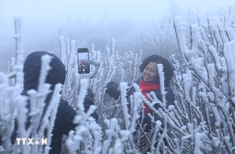 Du khách thích thú trước hiện tượng băng giá ở đỉnh núi Mẫu Sơn. (Ảnh: Anh Tuấn/TTXVN)