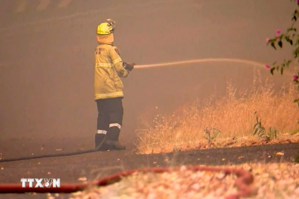 Lính cứu hỏa dập lửa cháy rừng tại phía Đông thành phố Perth. (Ảnh: AFP/TTXVN)