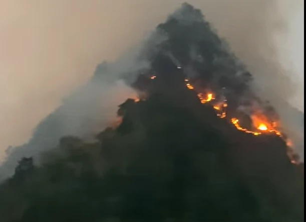 Hiện trường vụ cháy rừng ở Sơn La. (Ảnh chụp màn hình)