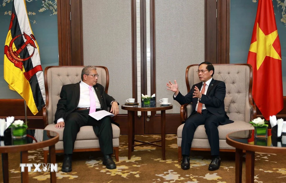 Bộ trưởng Ngoại giao Bùi Thanh Sơn tiếp Bộ trưởng thứ hai Bộ Ngoại giao Brunei Darussalam, ông Dato Erywan Pehin Yusof. (Ảnh: An Đăng/TTXVN)