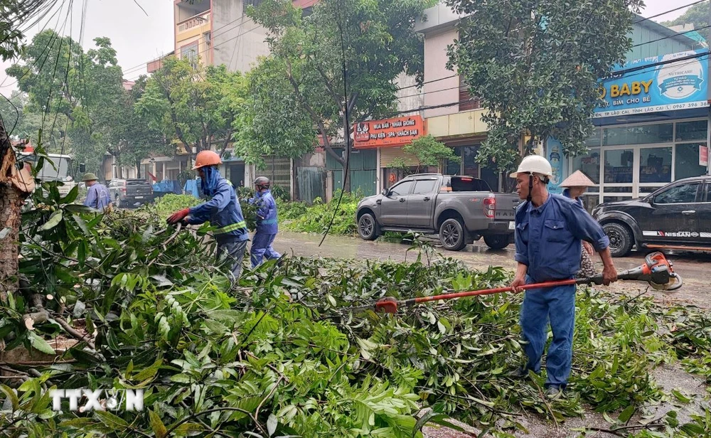 Công nhân Công ty Cổ phần Môi trường Đô thị tỉnh Lào Cai cắt dọn cây xanh bị gãy đổ để đảm bảo an toàn giao thông. (Ảnh: Quốc Khánh/TTXVN)