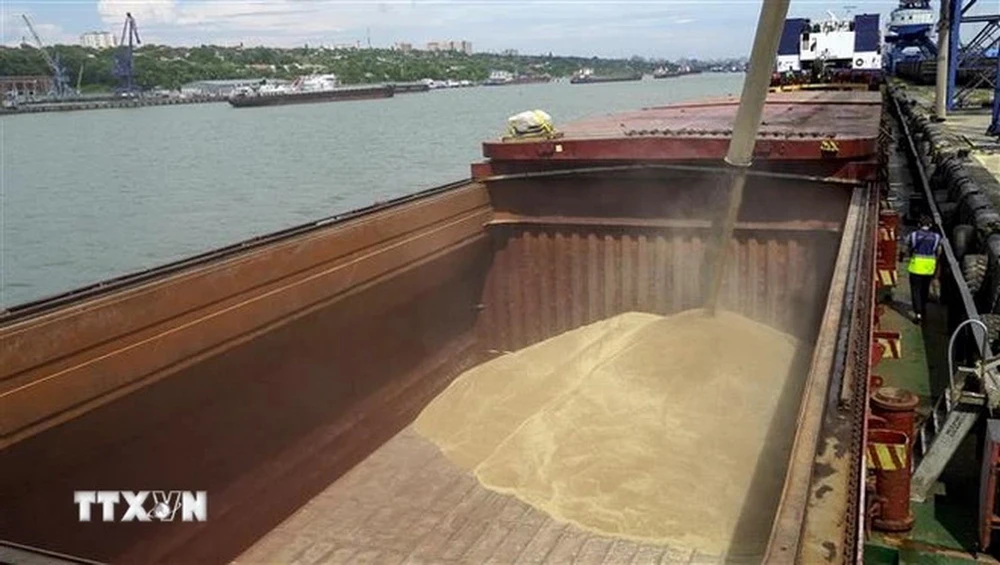 Chất lúa mỳ lên tàu để đưa đi xuất khẩu tại cảng Rostov-on-Don, Nga. (Ảnh: AFP/TTXVN)