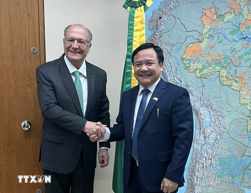 Đại sứ Việt Nam Bùi Văn Nghị và Phó Tổng thống Brazil Geraldo Alckmin tại buổi làm việc ngày 19/6. (Ảnh: TTXVN phát)