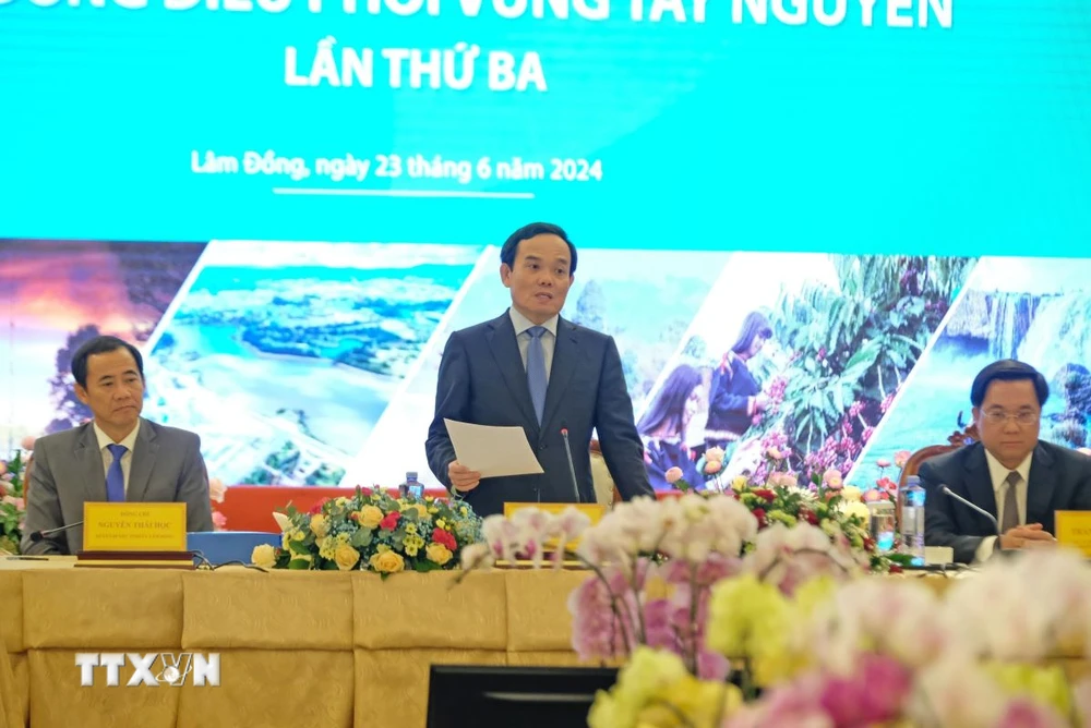 Phó Thủ tướng Trần Lưu Quang phát biểu. (Ảnh: Nguyễn Dũng/TTXVN)