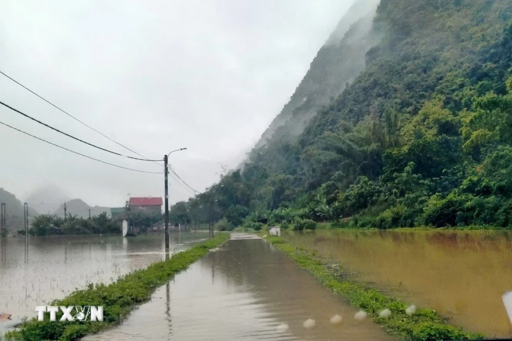 Đường giao thông và nhiều diện tích hoa màu ở xã Nam Tuấn, huyện Hòa An bị ngập trong nước lũ. (Ảnh: TTXVN phát)