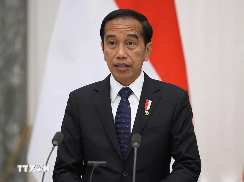 Tổng thống Indonesia Joko Widodo. (Ảnh: AFP/TTXVN)