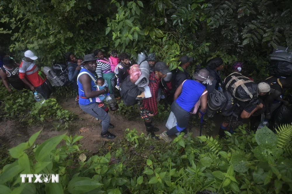 Người di cư băng qua rừng Darien Gap gần Choco (Colombia) để vào Panama. (Ảnh: AFP/TTXVN)