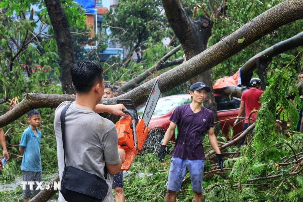 Người dân cùng lực lượng chức năng cưa cây để dọn dẹp vệ sinh môi trường. (Ảnh: Tuấn Anh/TTXVN)