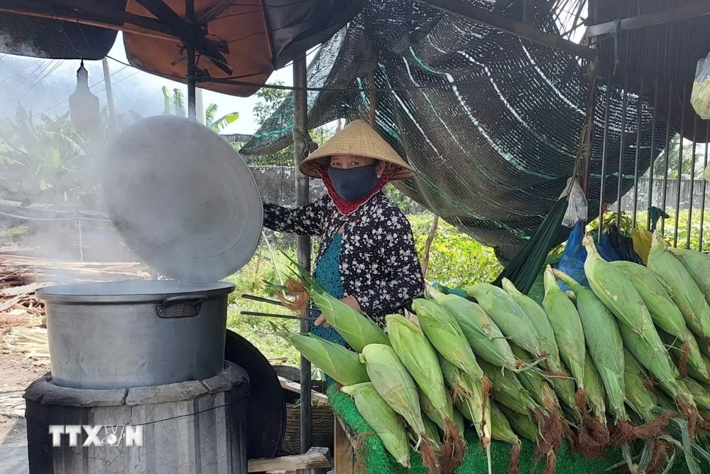 Nhiều hộ Khmer nghèo ở xã Vĩnh Phú Đông, huyện Phước Long có thu nhập khá từ trồng và bán ngô dọc theo tuyến đường Quảng Lộ - Phụng Hiệp (đoạn qua huyện Phước Long, tỉnh Bạc Liêu). (Ảnh: TTXVN phát)