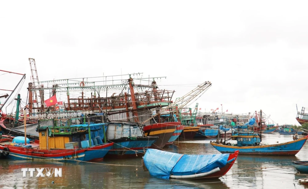 Tàu thuyền neo đậu tránh trú bão. (Ảnh minh họa: Nguyên Lý/TTXVN)