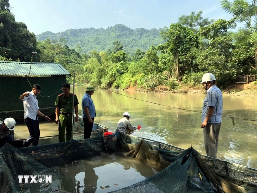 Trung tâm Quan trắc tài nguyên và môi trường tỉnh Tuyên Quang tổ chức lấy mẫu nước tại xã Bình Phú (huyện Chiêm Hóa). (Ảnh: TTXVN phát)