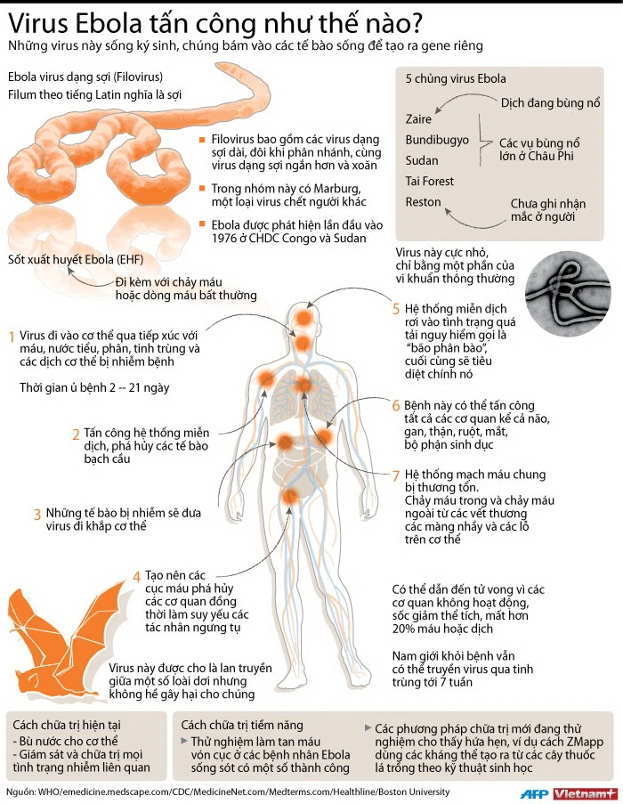 7. Tương Lai Của Phòng Chống Dịch Ebola