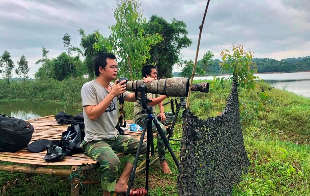 Anh Nguyễn Văn Long cùng cộng sự quan sát hoạt động của rùa Hoàn Kiếm tại hồ Đồng Mô. (Ảnh nhân vật cung cấp)