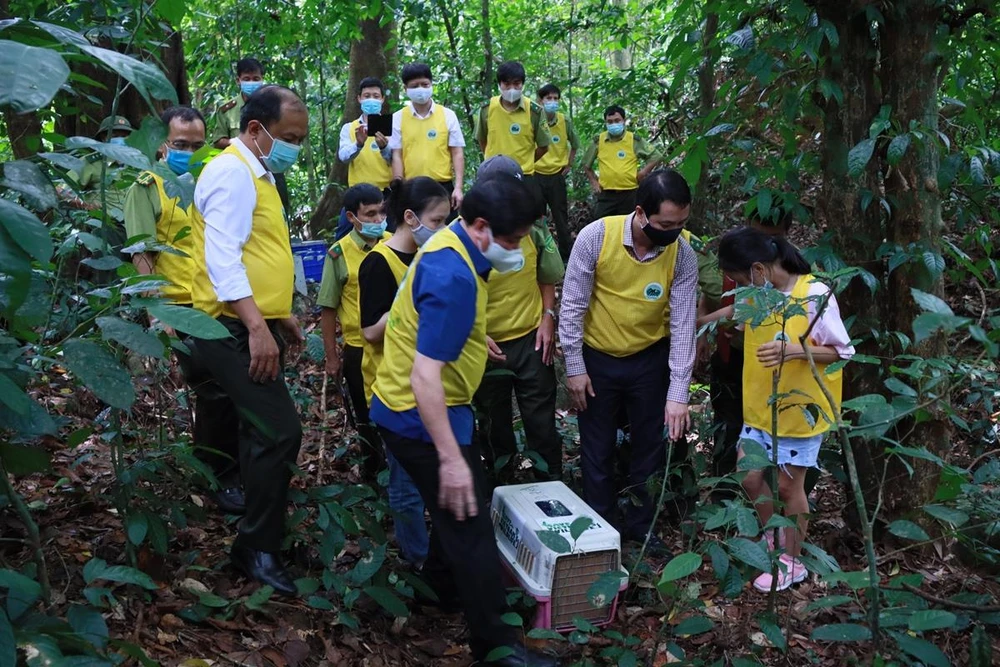 Ông Nguyễn Văn Chính (đứng ngoài cùng bên trái) dẫn đoàn tham gia hoạt động thả động vật về rừng. (Ảnh: VQG Cúc Phương)