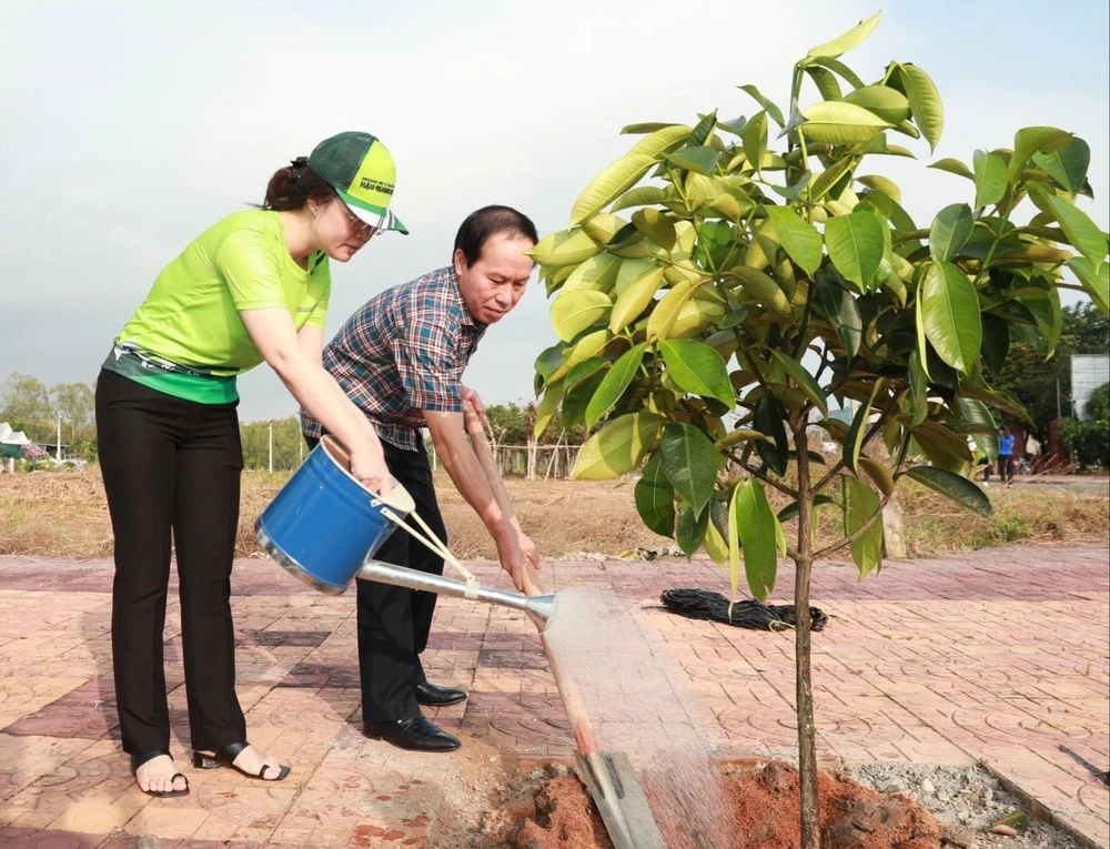 Ảnh minh họa. (Nguồn: Duy Khương/TTXVN)