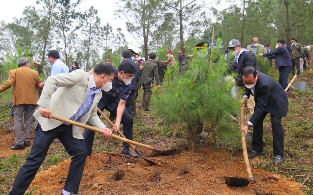 Hoạt động trồng cây ở Thừa Thiên - Huế. (Nguồn ảnh: Tường Vi/TTXVN)