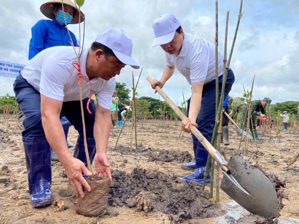 Các đại biểu trồng cây tại Rừng ngập mặn Đồng Rui tại huyện Tiên Yên, tỉnh Quảng Ninh. (Ảnh: PV/Vietnam+)