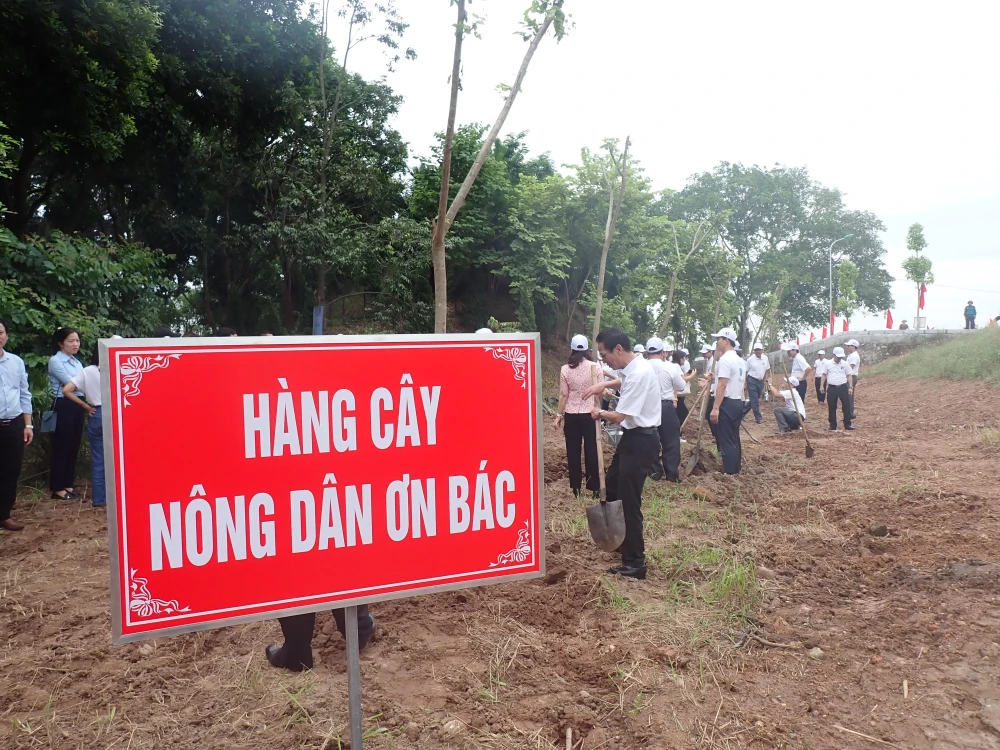 Hàng cây Nông dân ơn Bác được trồng tại Khu di tích lịch sử Lăng Kinh Dương Vương. (Ảnh: Hùng Võ/Vietnam+)