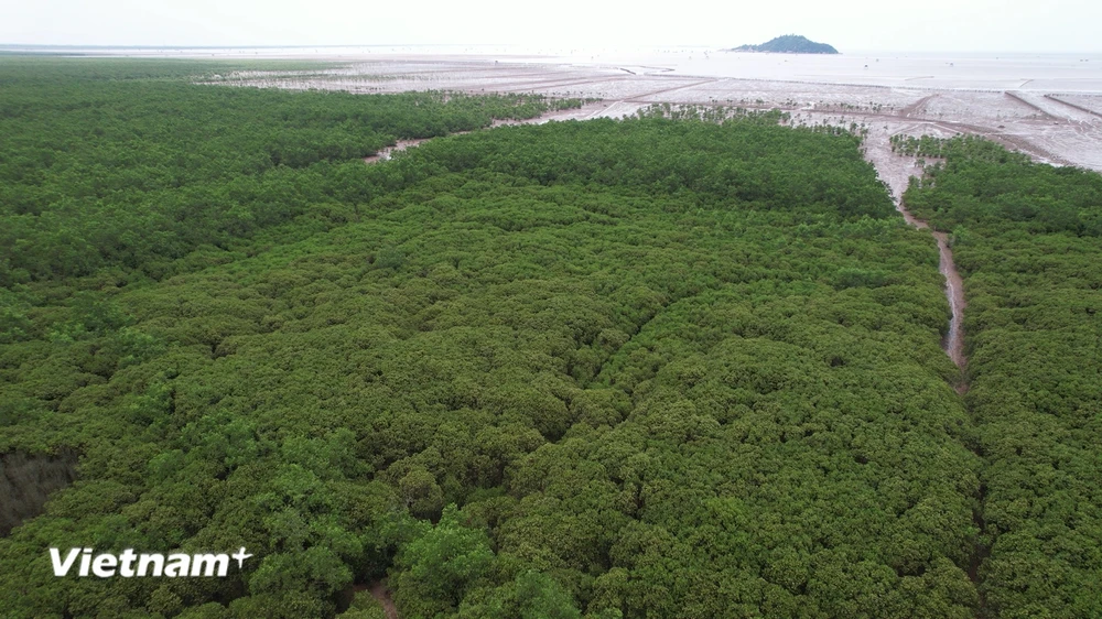 Việt Nam có nhiều khu vực sinh thái tự nhiên có giá trị đa dạng sinh học cao. (Ảnh: Hùng Võ/Vietnam+)