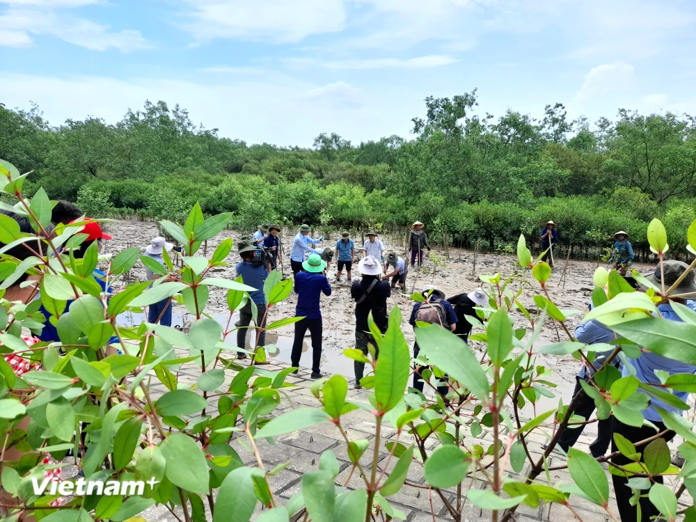 Nỗ lực thích ứng với biến đổi khí hậu. (Ảnh minh họa. Nguồn: Hùng Võ/Vietnam+)