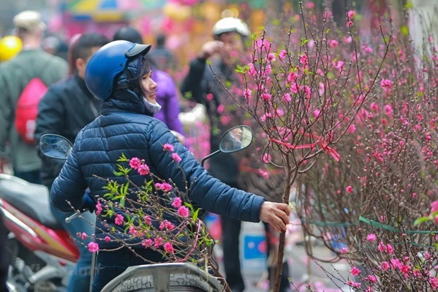 Dịp nghỉ Tết Dương lịch, thời tiết ở miền Bắc phổ biến rét. (Ảnh: PV/Vietnam+) 