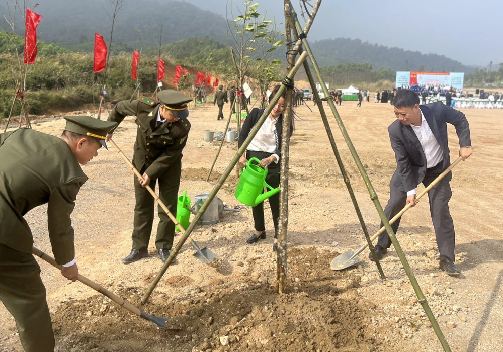 Các đại biểu tham gia trồng cây. (Ảnh: PV/Vietnam+)