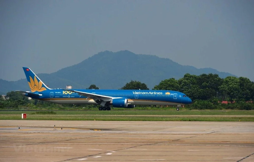 Chiếc máy bay Boeing 787 của hãng hàng không Vietnam Airlines. (Ảnh: Việt Hùng/Vietnam+)