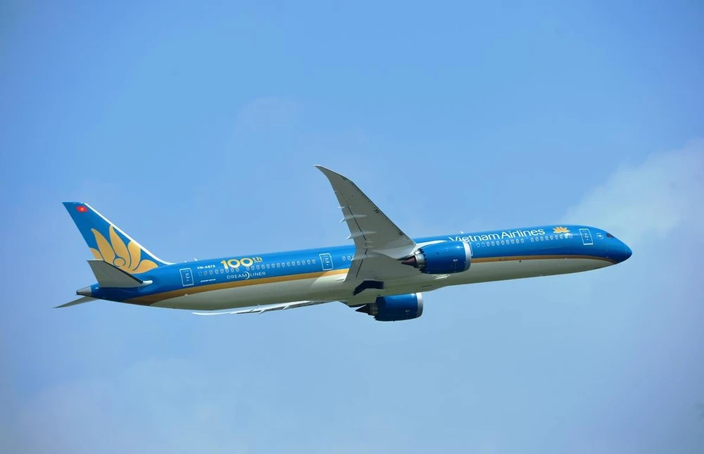 Máy bay của hãng hàng không Vietnam Airlines. (Ảnh: CTV/Vietnam+)