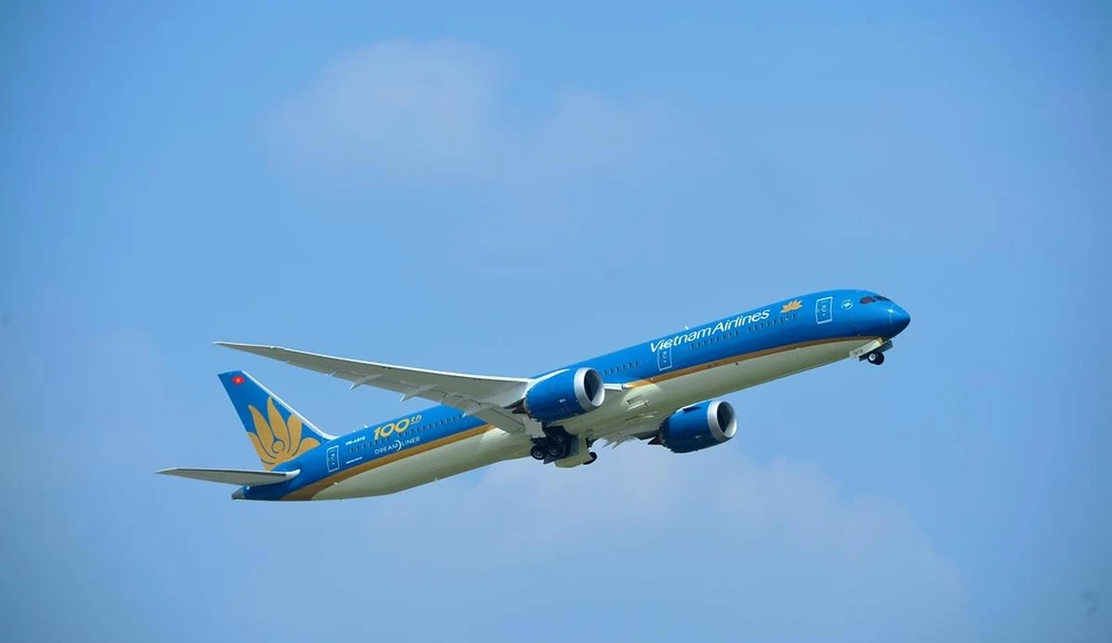 Máy bay của hãng hàng không Vietnam Airlines. (Ảnh: CTV/Vietnam+)