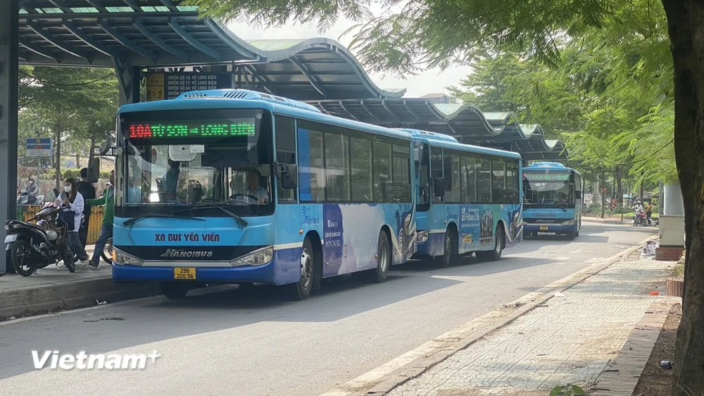 Transerco vận hành khoảng 31.000 lượt xe buýt dịp Tết Dương lịch 2024. (Ảnh: Việt Hùng/Vietnam+)