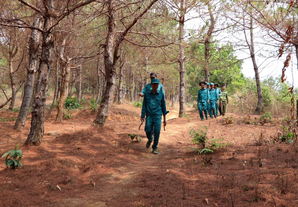 Lực lượng kiểm lâm, Ban quản lý rừng đi tuần tra rừng trong mùa khô hạn năm 2019. (Ảnh: Hồng Điệp/TTXVN) 