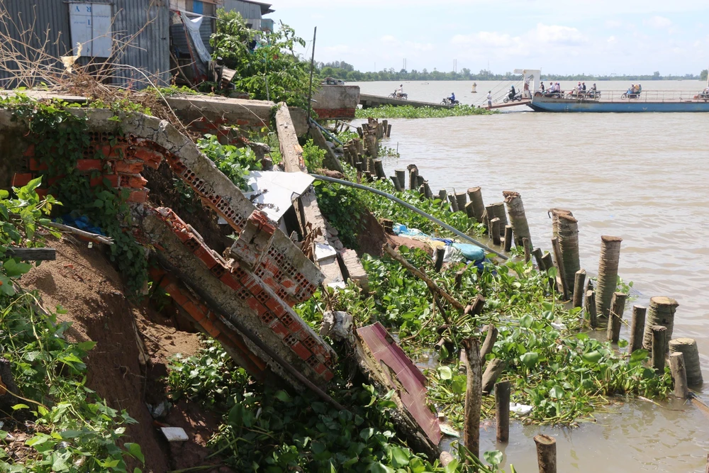 Tình trạng sạt lở bờ sông Tiền tại tỉnh Đồng Tháp vẫn diễn biến phức tạp. (Ảnh: Nguyễn Văn Trí/TTXVN)