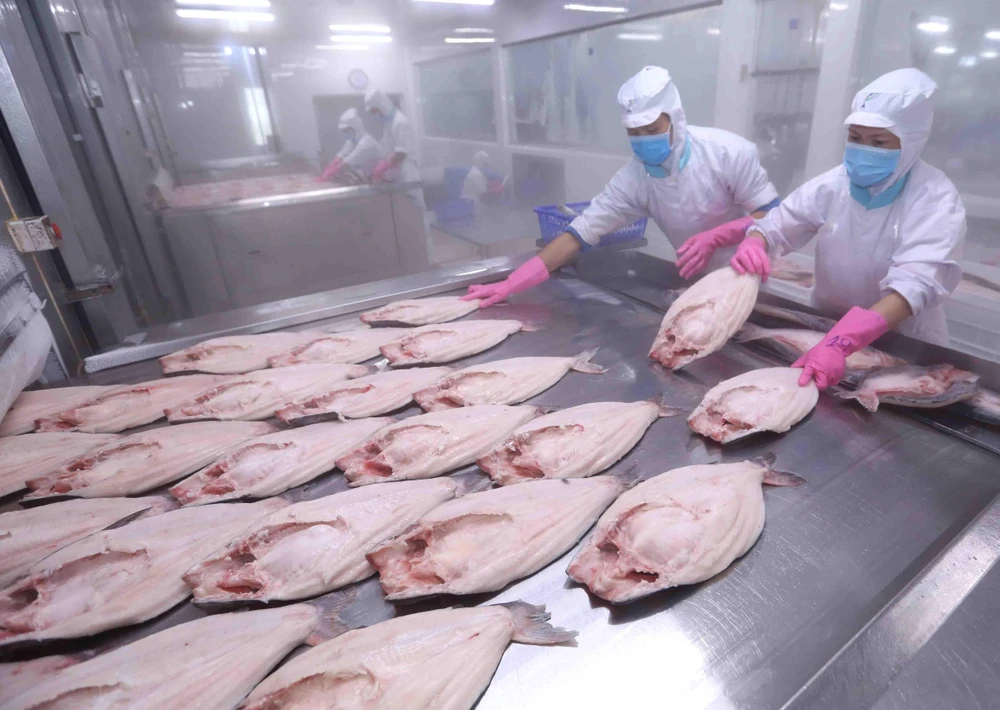 Thị trường EU hiện đang là thị trường xuất khẩu thủy sản đứng thứ hai của Việt Nam, chiếm trọng 17% tổng giá trị xuất khẩu thủy sản. (Ảnh: TTXVN)