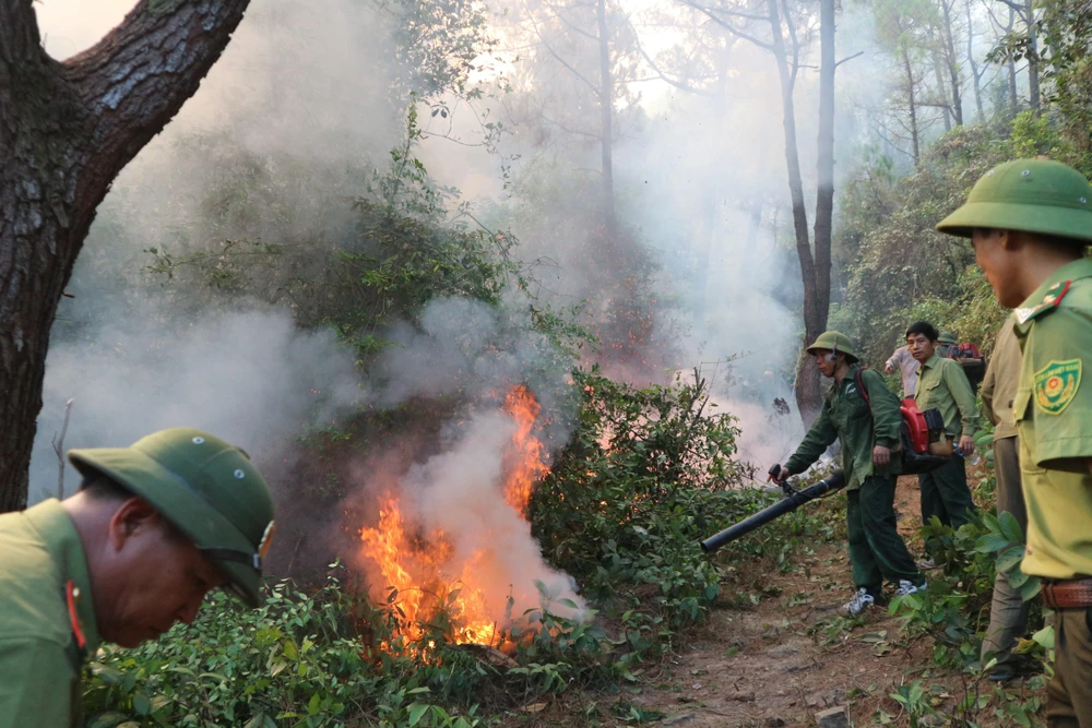 Lực lượng chức năng nỗ lực khống chế đám cháy rừng tại huyện Nghi Xuân ngày 29/6. (Ảnh: Hoàng Ngà/TTXVN)