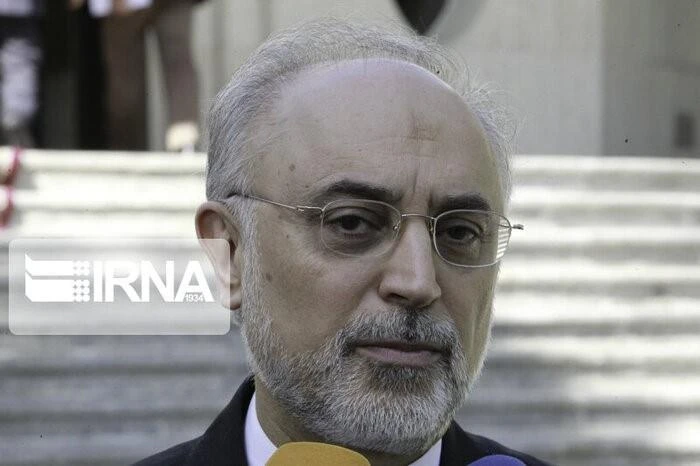 Ông Ali Akbar Salehi, người đứng đầu Tổ chức năng lượng nguyên tử của Iran. (Ảnh: IRNA/TTXVN)