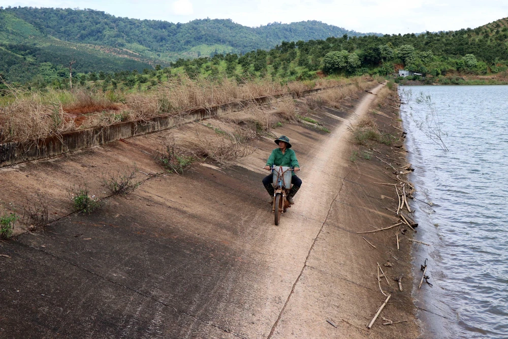 Người dân di chuyển trên mái đập vì mặt đập lầy lội, đi lại khó khăn. (Ảnh: Ngọc Minh/TTXVN)