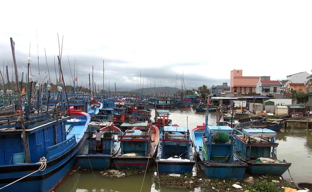 Đến chiều 29/10/2019, Bình Định đã kêu gọi được hơn 5.000 tàu thuyền vào bờ trú ẩn an toàn. (Ảnh: Nguyên Linh/ TTXVN)