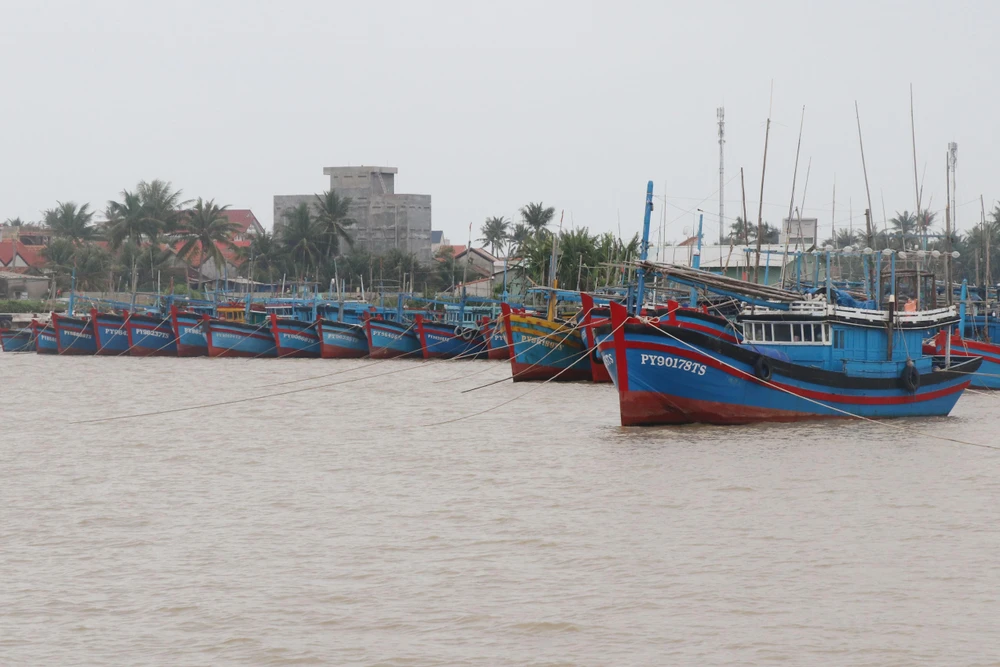Tàu thuyền của ngư dân được đưa vào neo đậu tránh bão tại cảng cá Đông Tác, thành phố Tuy Hòa. (Ảnh: Phạm Cường/TTXVN)