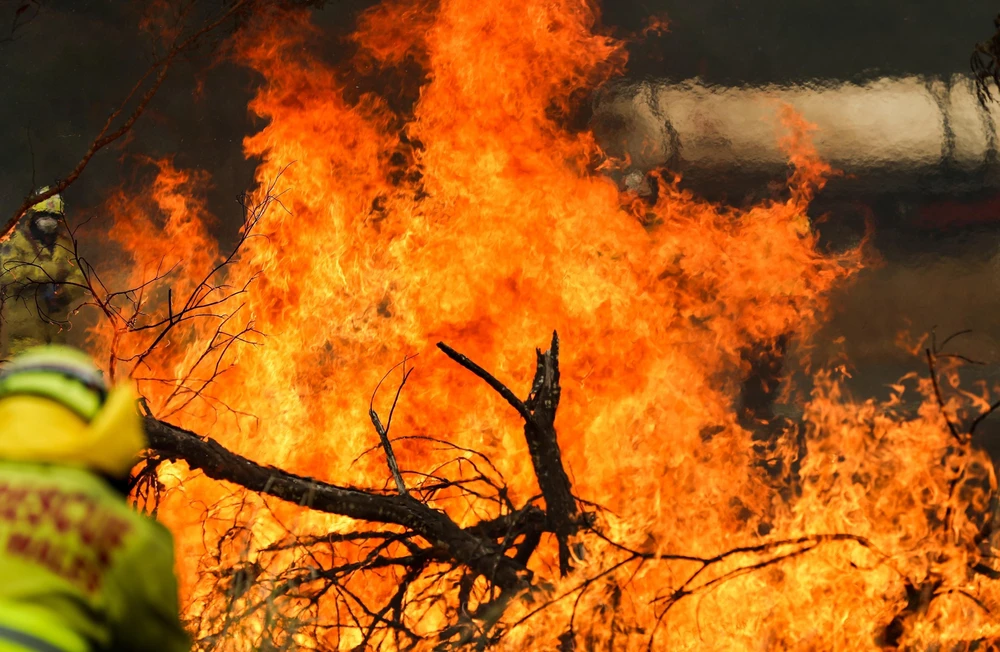 Hiện trường vụ cháy rừng tại Taree, New South Wales, Australia. (Ảnh: THX/TTXVN)