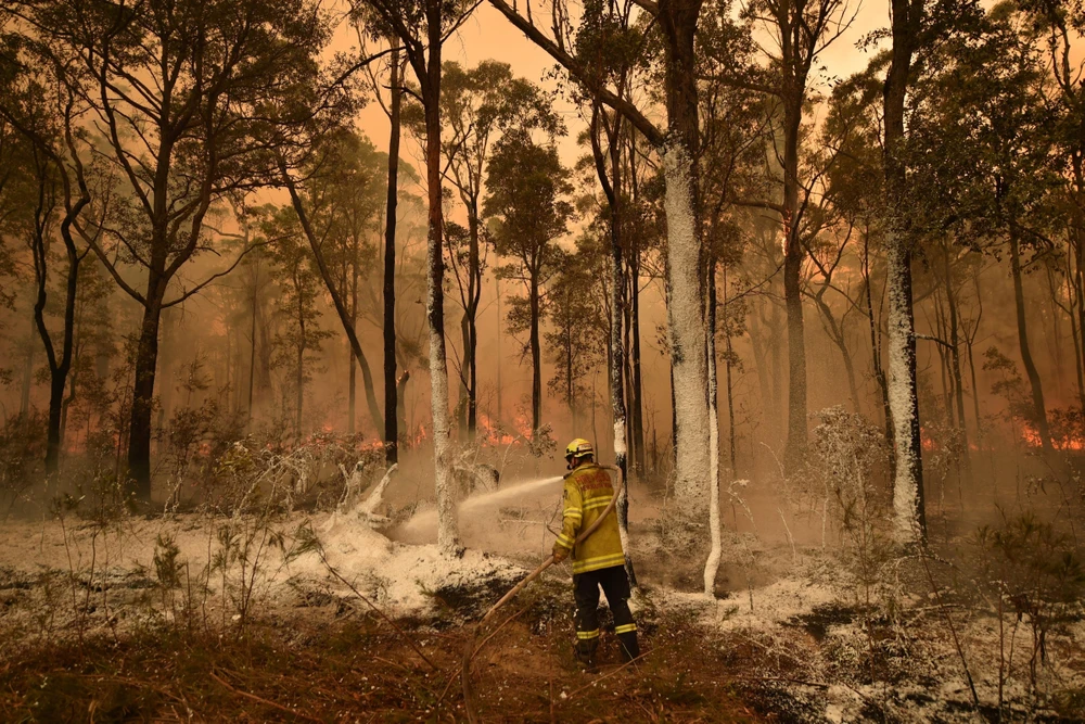 Lực lượng cứu hỏa nỗ lực khống chế các đám cháy rừng tại New South Wales, Australia. (Ảnh: AFP/TTXVN)