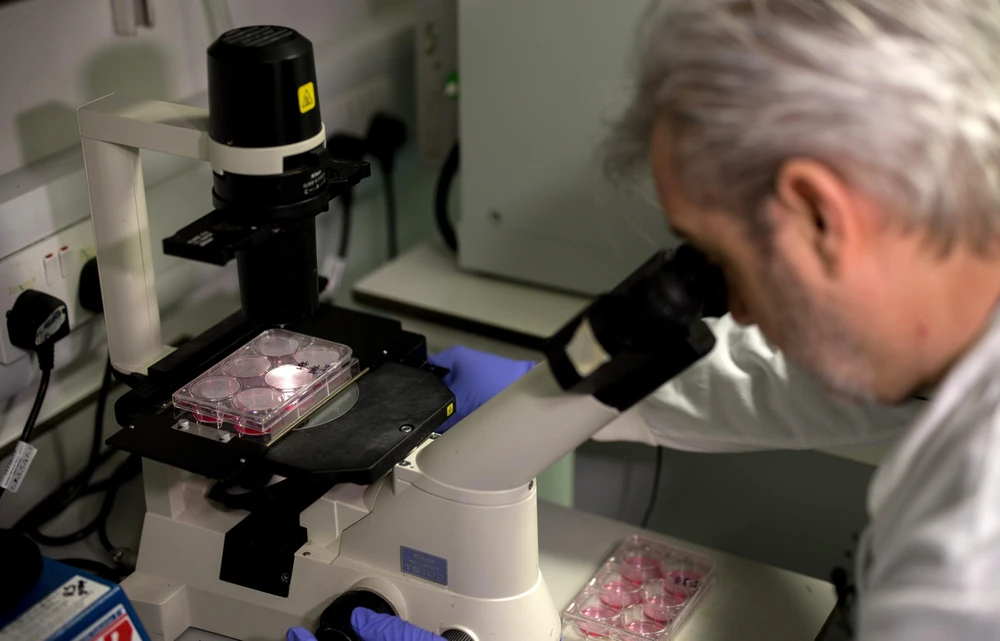 Nhà khoa học Anh Paul McKay nghiên cứu DNA của COVID-19 tại phòng thí nghiệm của Đại học Y khoa Hoàng gia London ngày 10/2/2020. (Ảnh: AFP/TTXVN)