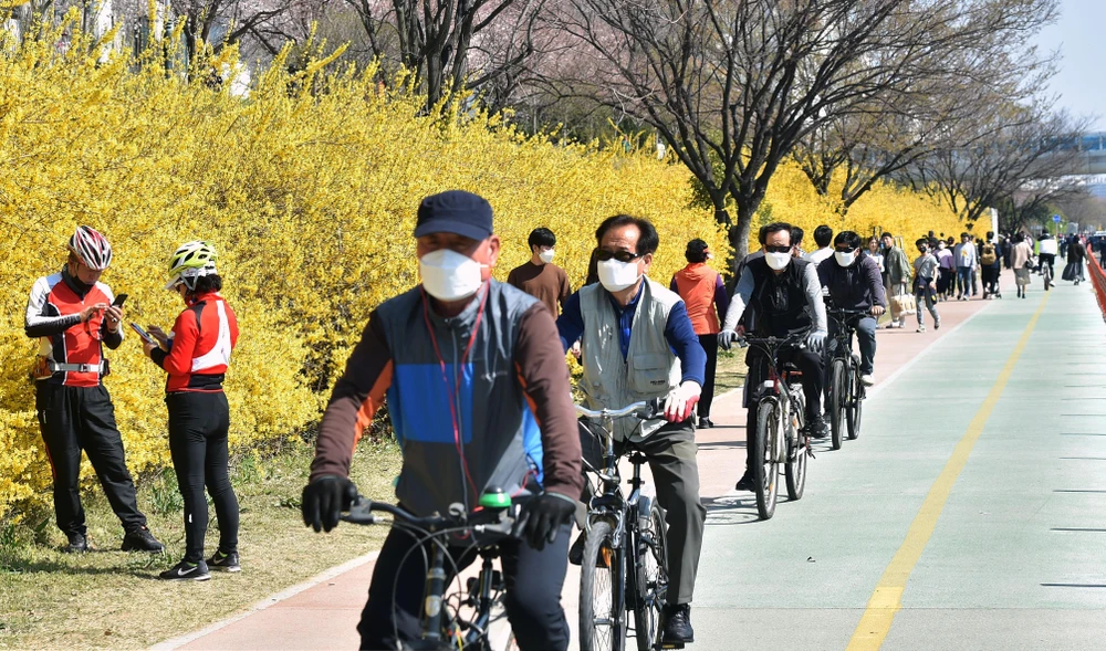 Người dân đeo khẩu trang phòng dịch COVID-19 tại Daegu, Hàn Quốc ngày 22/3/2020. (Ảnh: THX/TTXVN)