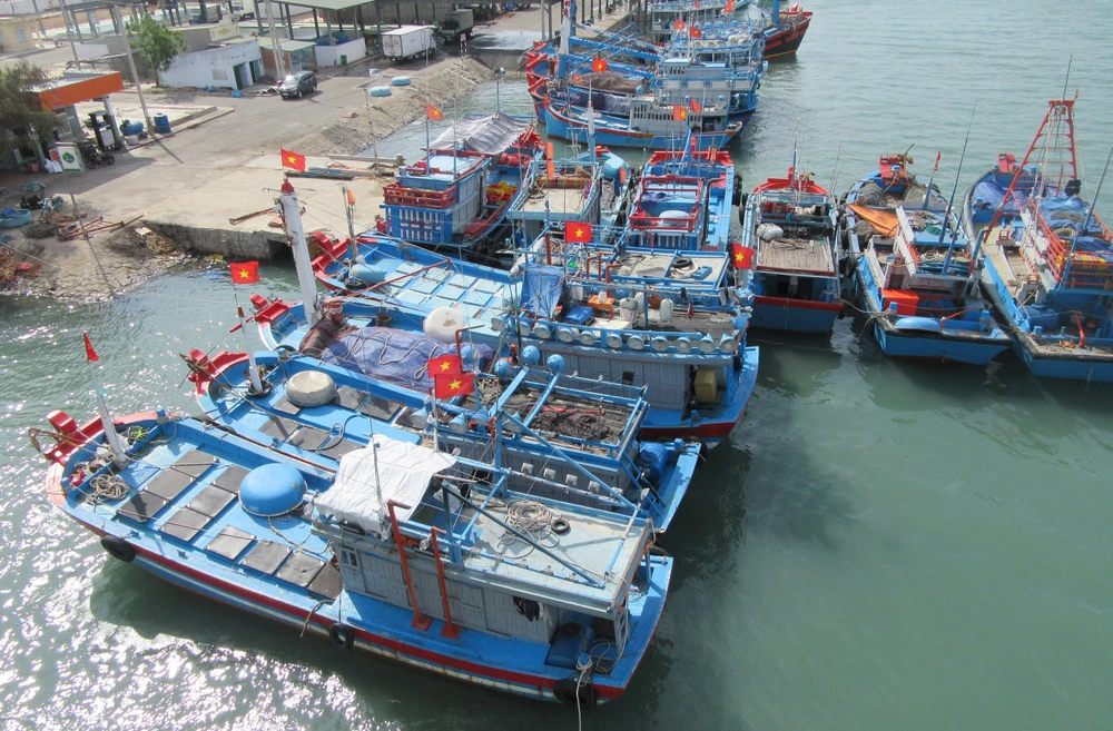 Tàu cá khai thác xa bờ neo đậu tại cảng cá Ninh Chữ (huyện Ninh Hải, Ninh Thuận). (Ảnh: Nguyễn Thành/TTXVN)