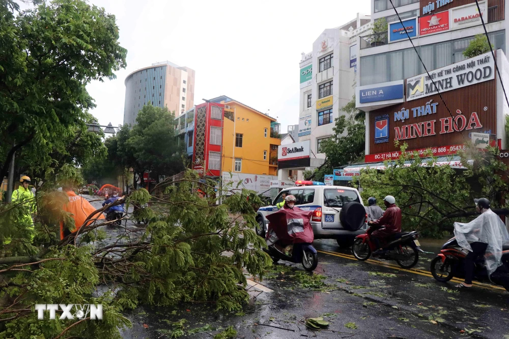 Bão số 5 đổ bộ làm gẫy đổ nhiều cây xanh, cột điện tại thành phố Huế. (Ảnh: Đỗ Trưởng/TTXVN)
