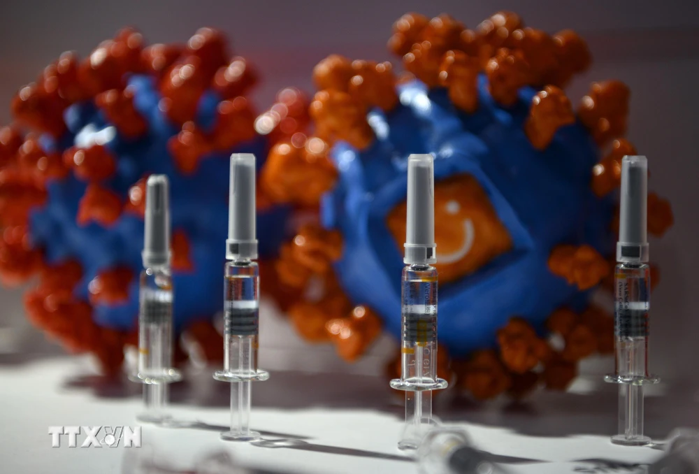 Vắcxin ngừa COVID-19 do Công ty công nghệ sinh học Sinovac phát triển được giới thiệu tại Hội chợ Thương mại Dịch vụ quốc tế Trung Quốc (CIFTIS) ở thủ đô Bắc Kinh ngày 6/9/2020. (Ảnh: AFP/TTXVN)