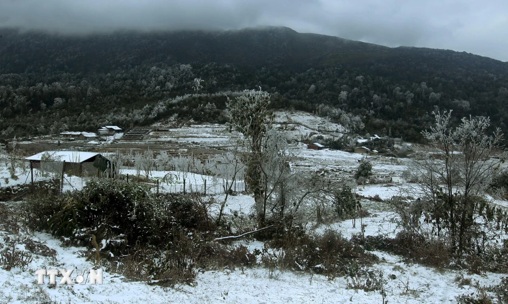 Tuyết rơi phủ trắng làng bản tại xã Y Tý, huyện Bát Xát. (Ảnh: Quốc Khánh/TTXVN)