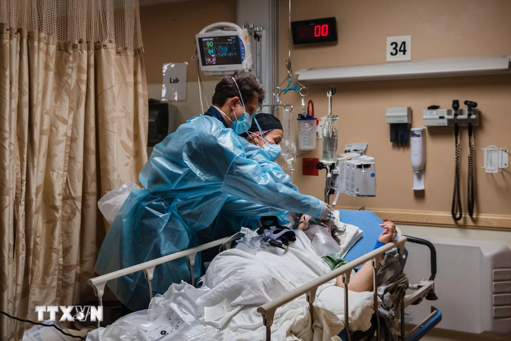 Nhân viên y tế điều trị cho bệnh nhân COVID-19 tại bệnh viện ở California, Mỹ, ngày 11/1/2021. (Ảnh: AFP/TTXVN)
